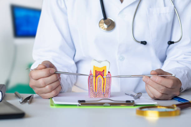 Best Mobile Emergency Dentist in Fredericktown, OH
